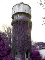 Read more about the article Water Tower Fest 2010